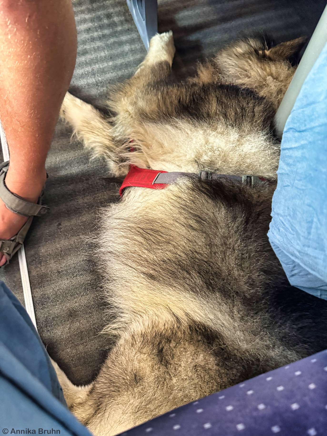 Q auf dem Weg nach Stuttgart